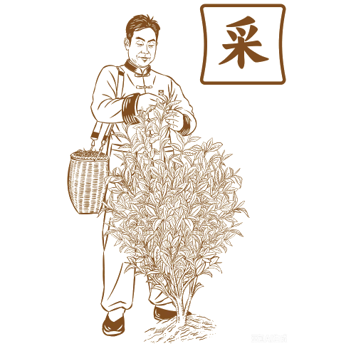 采之·采摘选料之苛